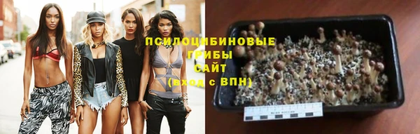 прущая мука Армянск