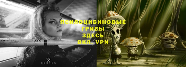 прущая мука Армянск