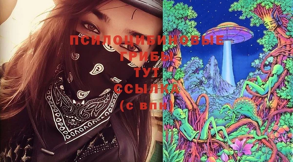 экстази Алексин