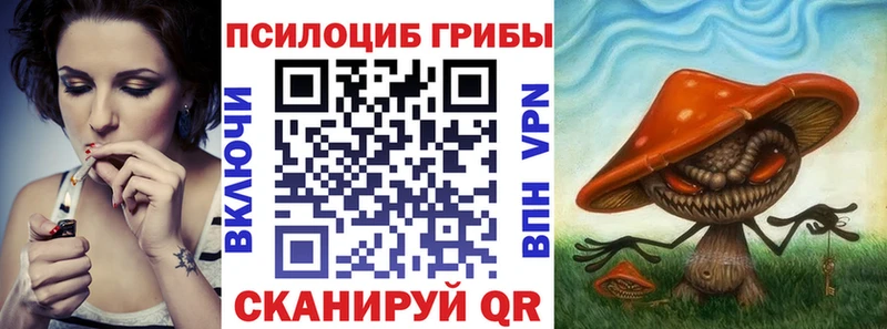 Галлюциногенные грибы Psilocybine cubensis Спасск-Дальний
